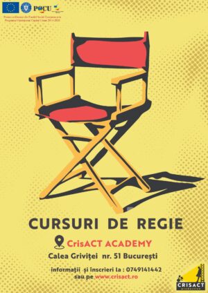 CURS DE REGIE DE TEATRU ȘI FILM cu Celina Nițu (4 sesiuni)